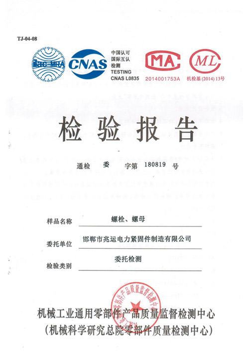 inspection report